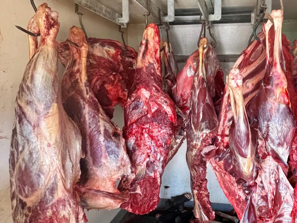 A meat locker holds the meat from a successful safari prior to processing and distribution. This practice is common in Africa.