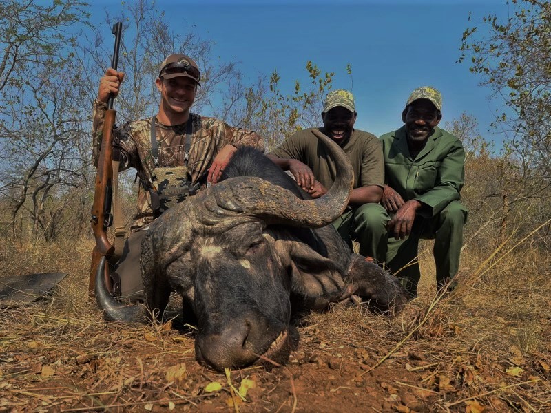 A hunter and two trackers sit behind a Cape buffalo.