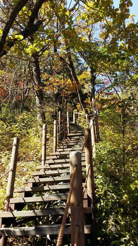 A stairway, part of the Baekdu-Daegan, flanked by fall colors in Jirisan National Park, South Korea.