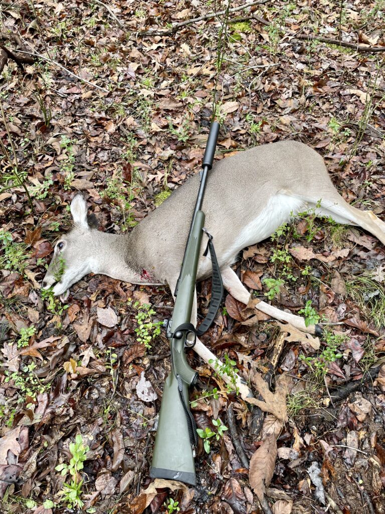 Doe whitetail deer harvested during warm weather with Savage brand bolt action rifle.