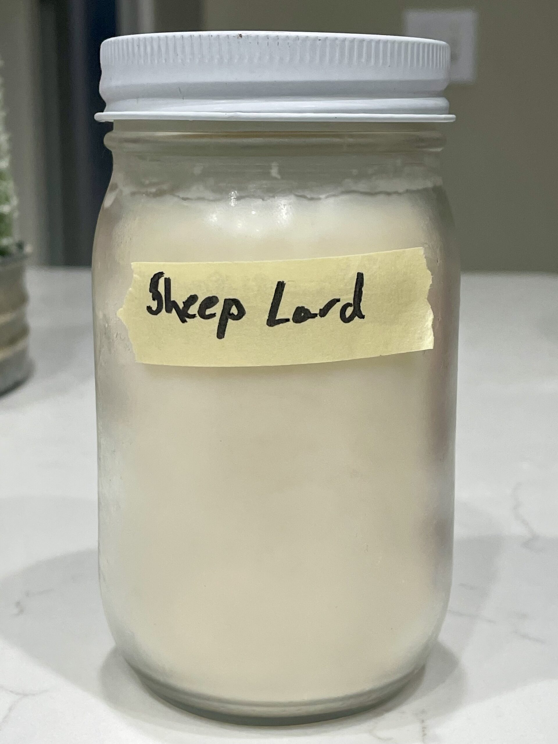 Rendering Bighorn Sheep Lard