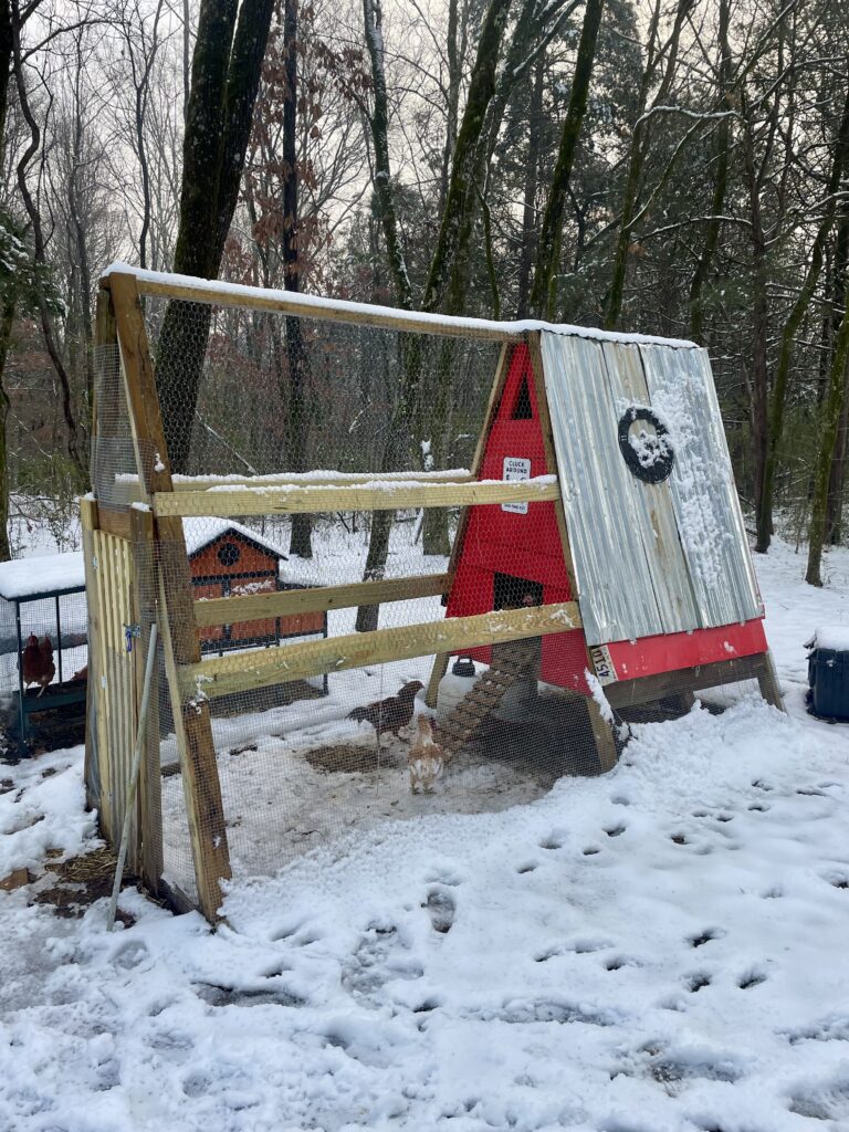 Completed A-frame chicken coop in snow.